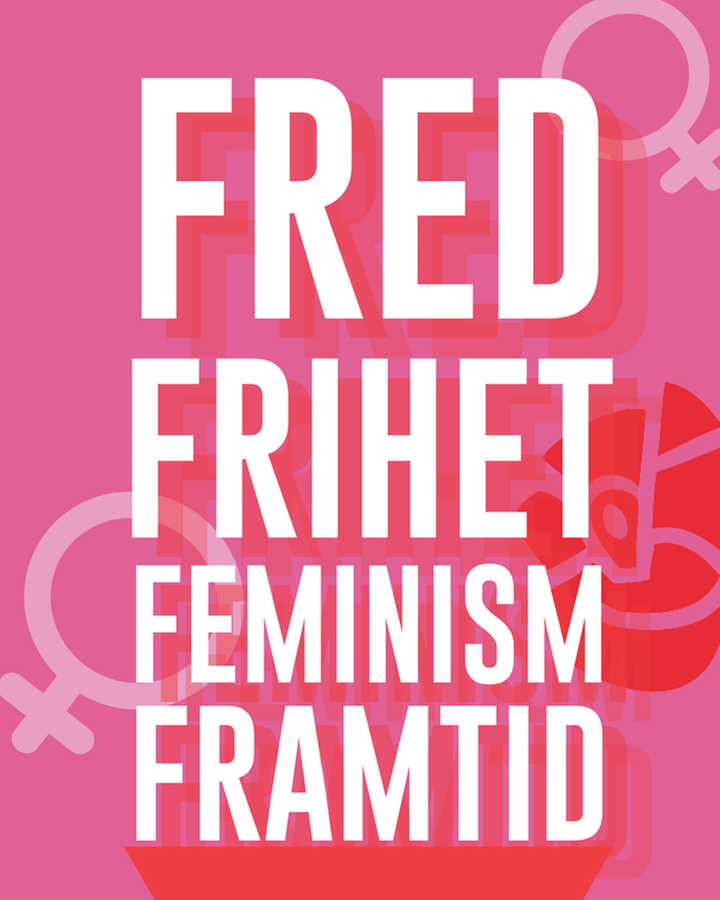 Feministknack med Allmänna och Järva S-kvinnor